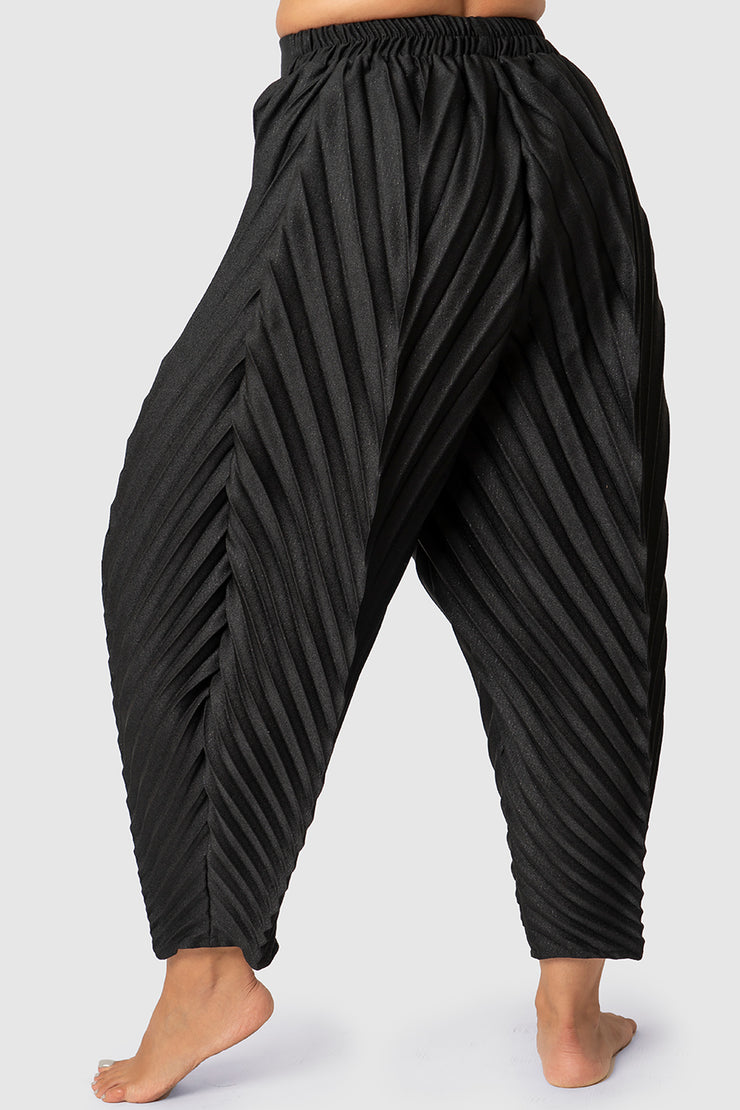 Black Solid Pleated Trousers
