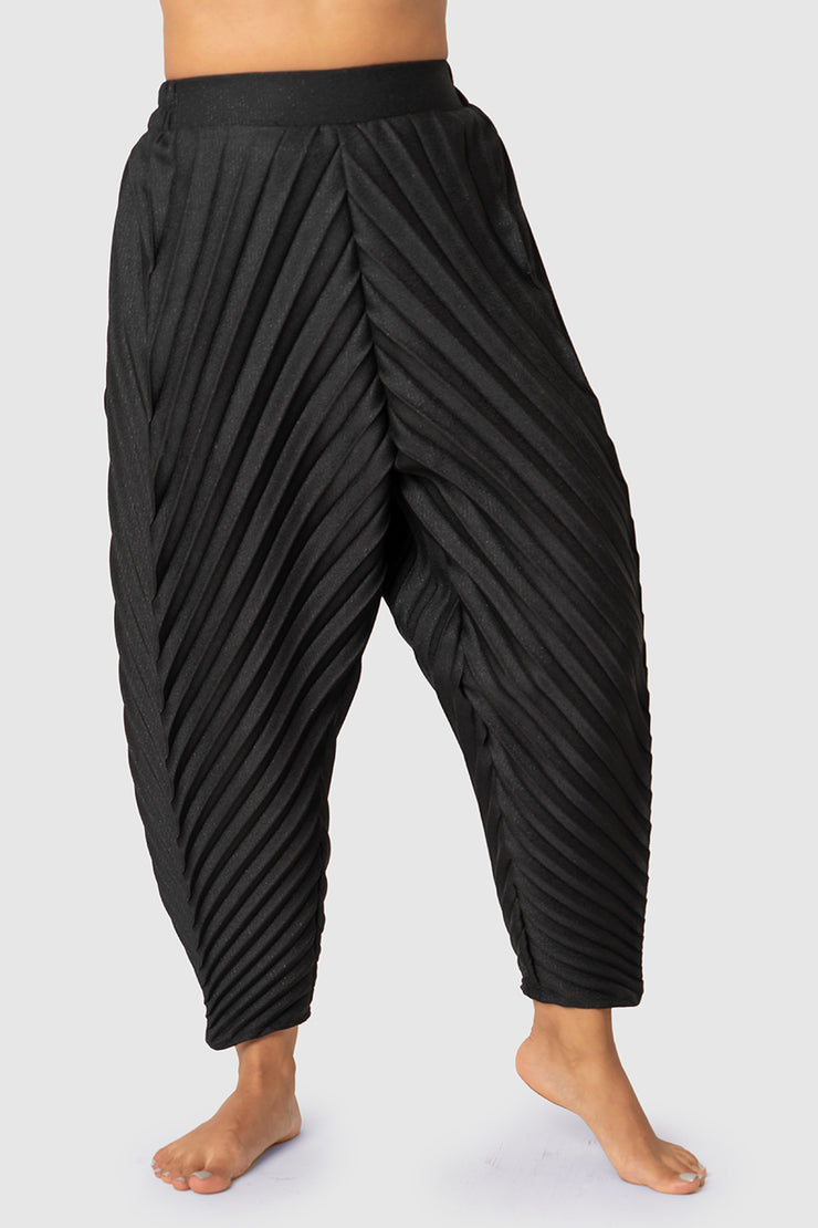 Black Solid Pleated Trousers