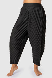 Black Solid Pleated Trousers